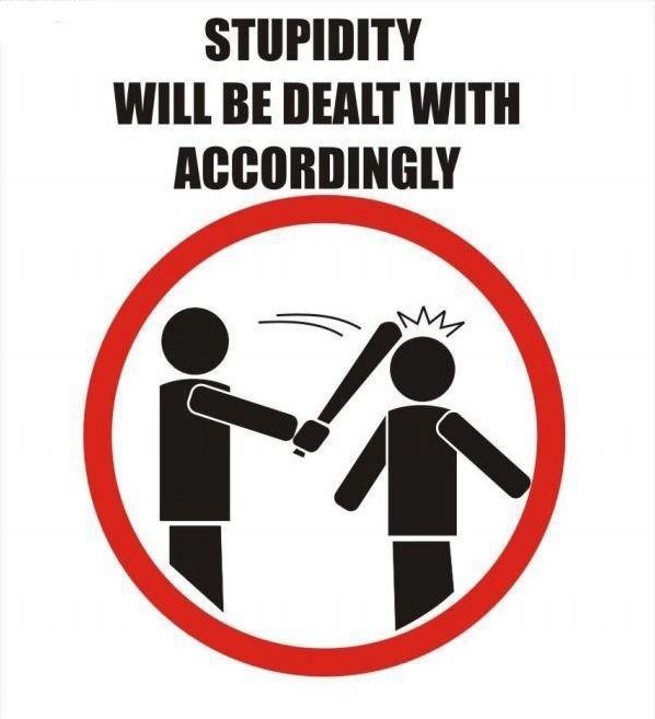 Stupidity will be dealt with accordingly.jpg