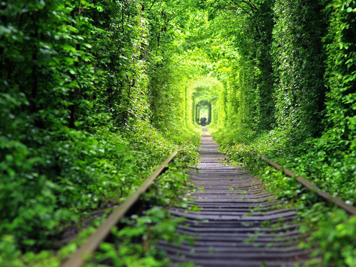 luisaworld_pantone-tunnel-of-love-GettyImages-476825596.jpg