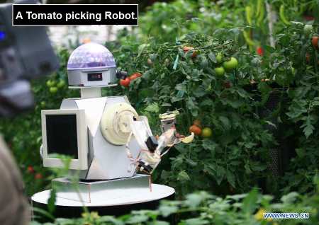 tomato picking robot.jpg