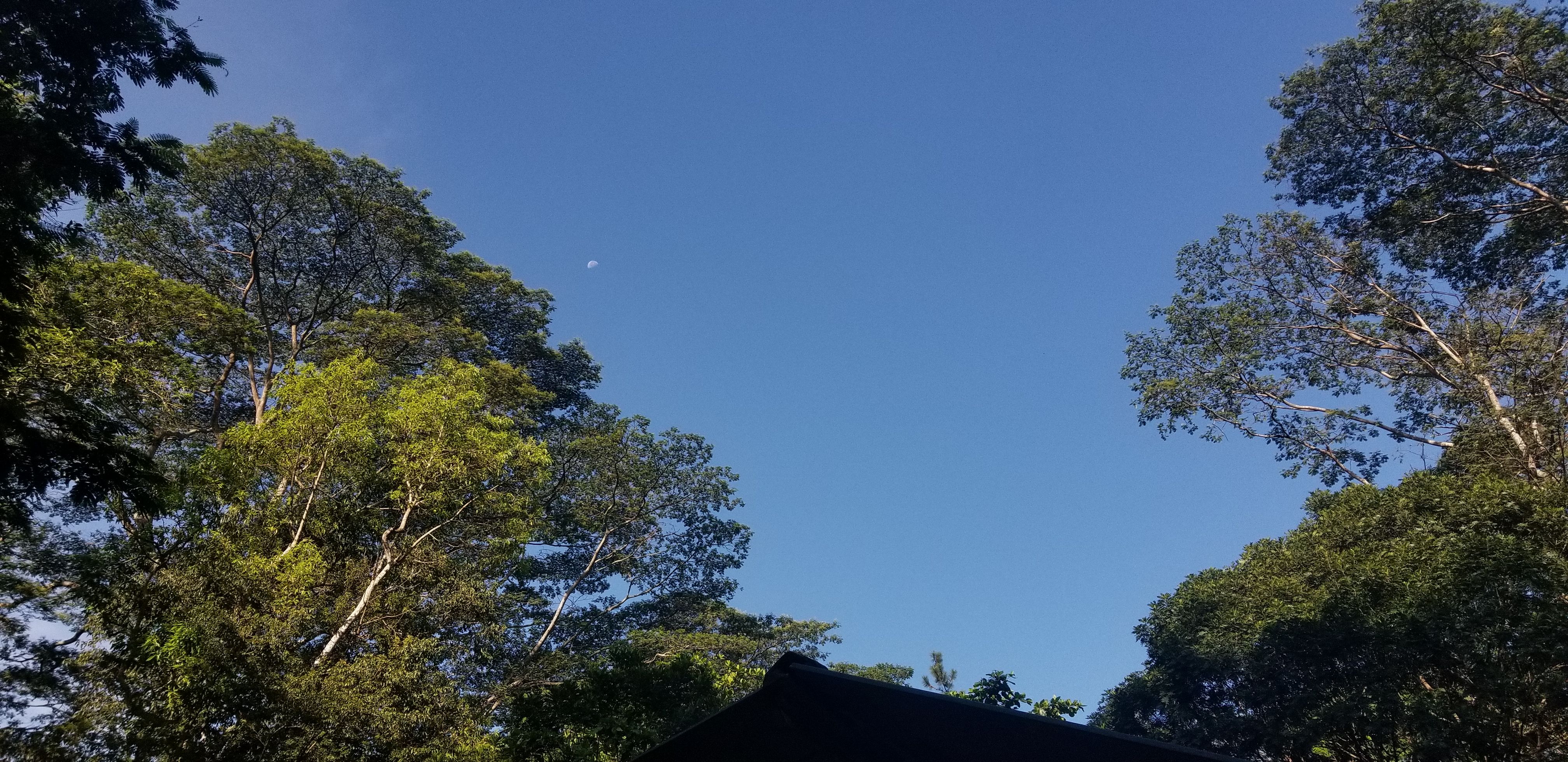 20180407_080558.jpg