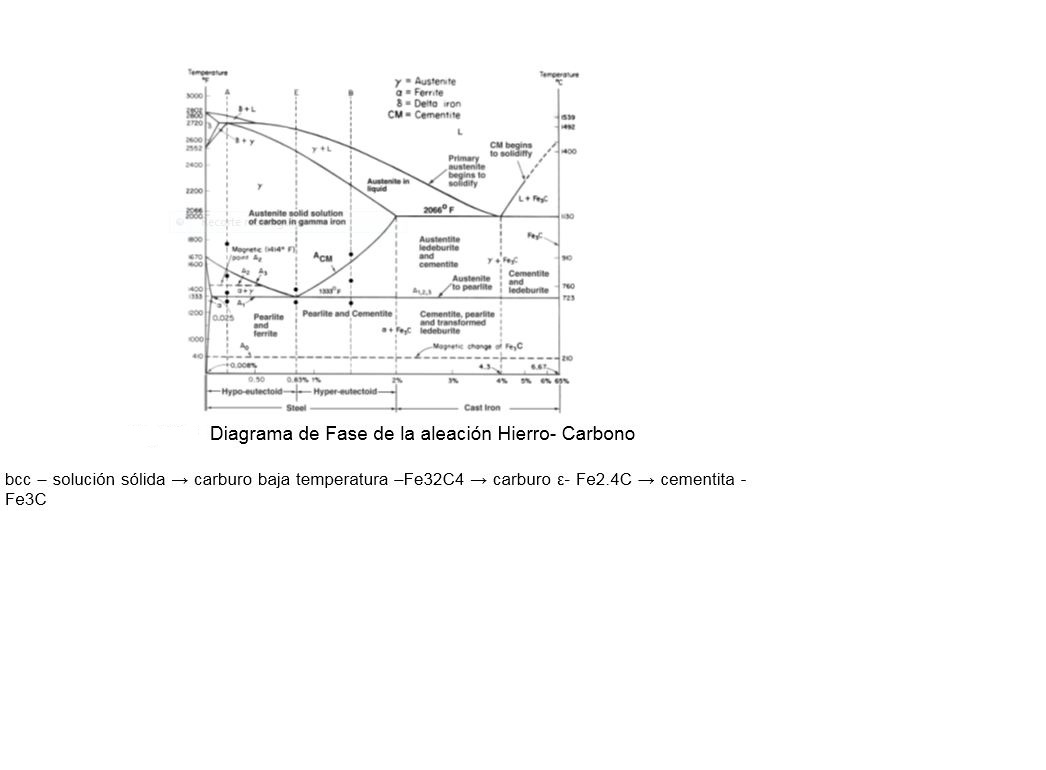 figura3.jpg