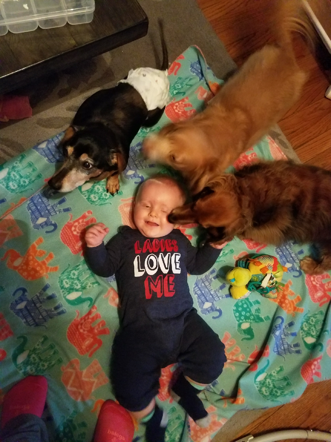 puppy love.jpg