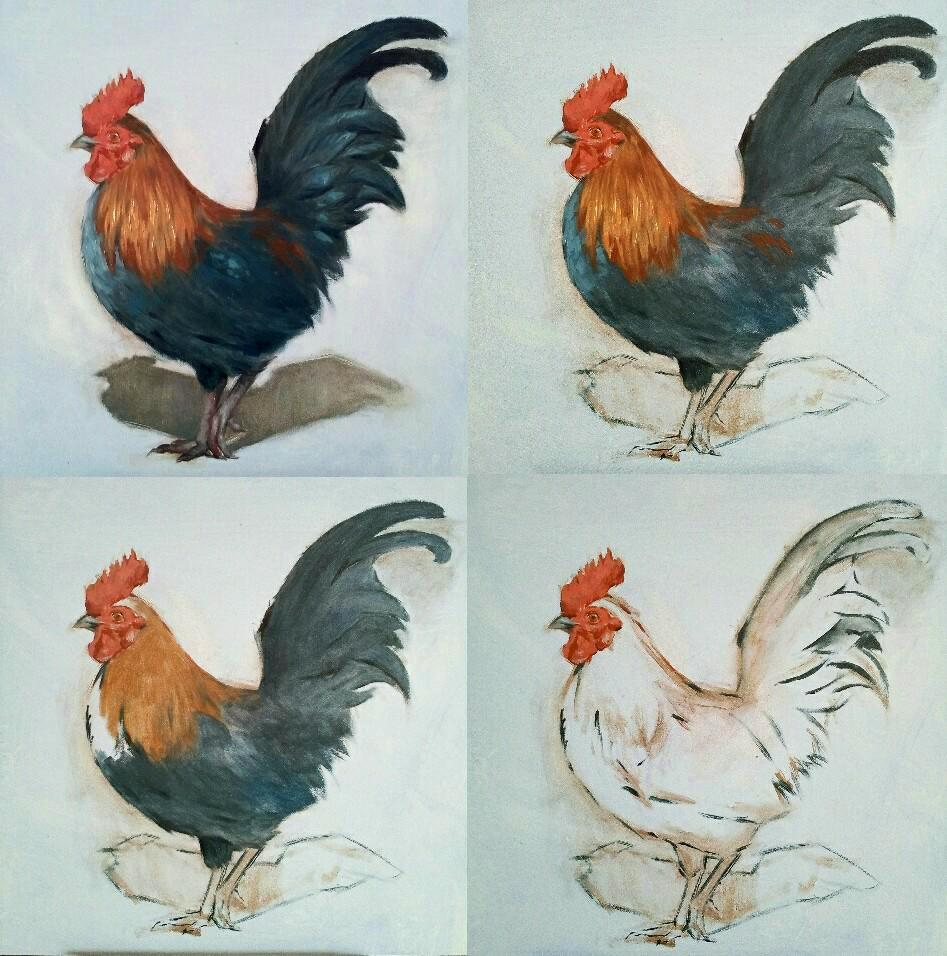 31171454_1869936336360993_3649892796170502144_n.jpg