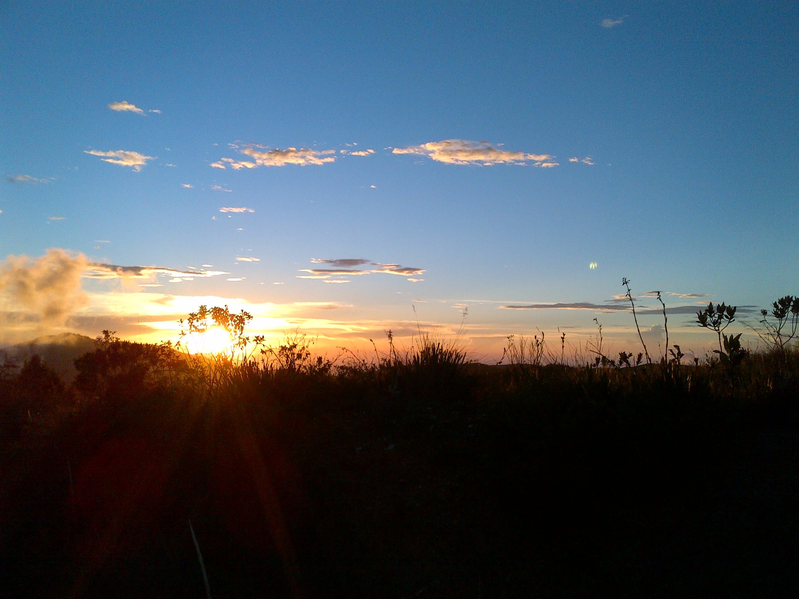 IMG-20130706-00961.jpg
