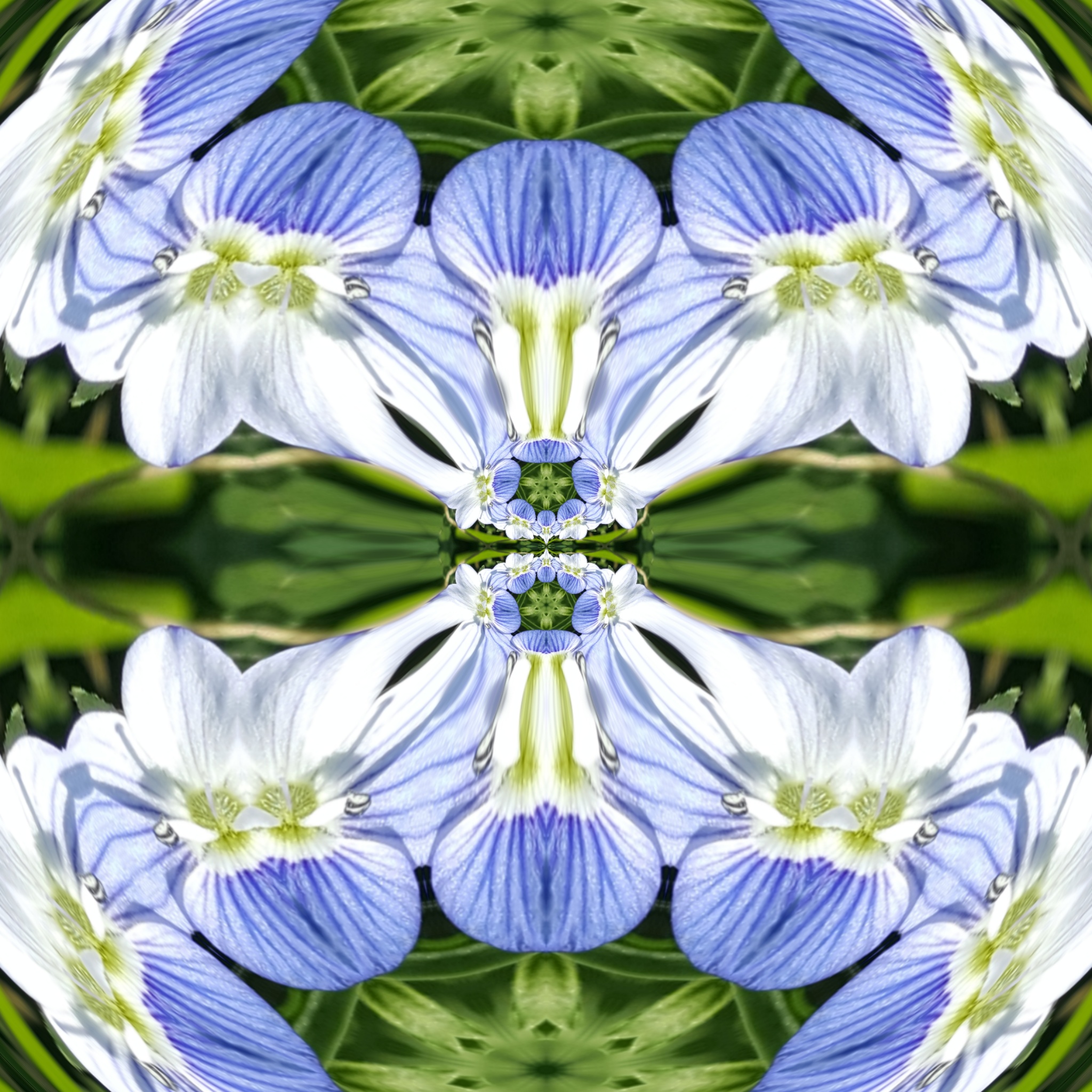 image%3A6452_mirror32.jpg