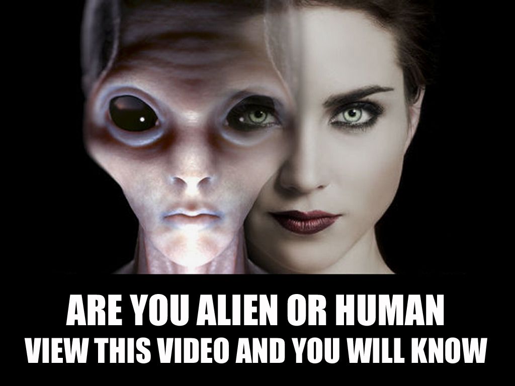 are-you-alien.jpg