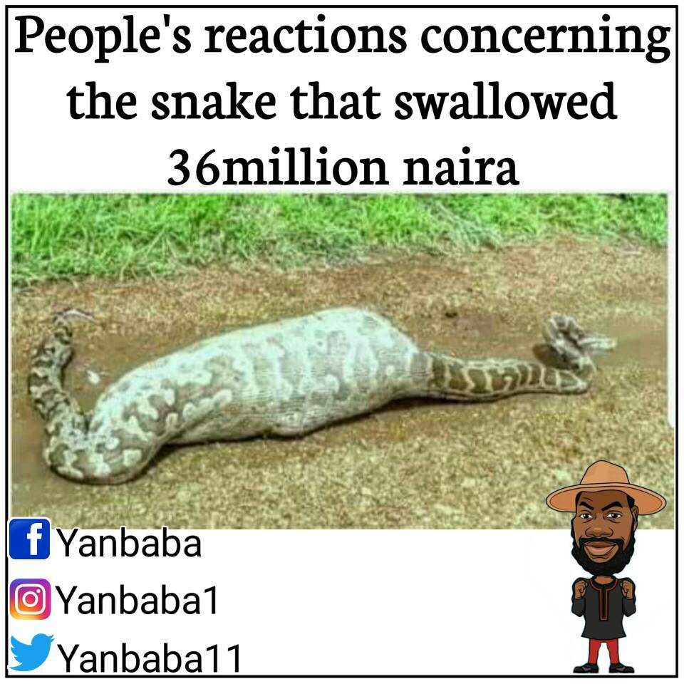 Snake that Swallow 36 million naira in Nigeria.jpg