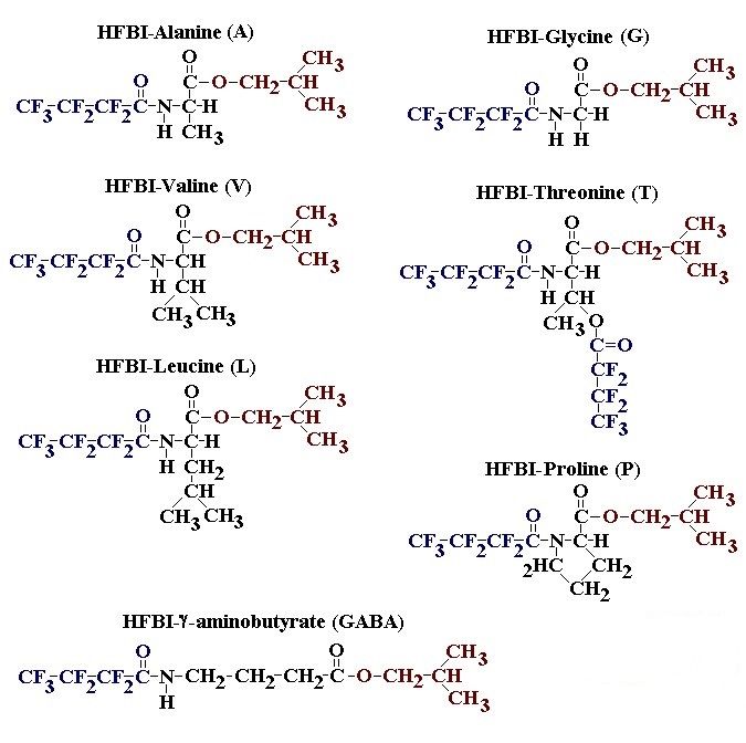 AminoAcids1.jpg