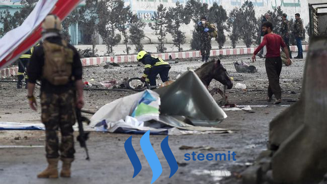 Bomb Suicide in Afghanistan, A Horse Become Victim.png