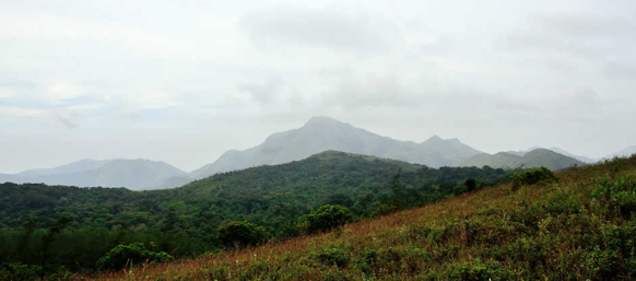 Tadiandamol Peak.png