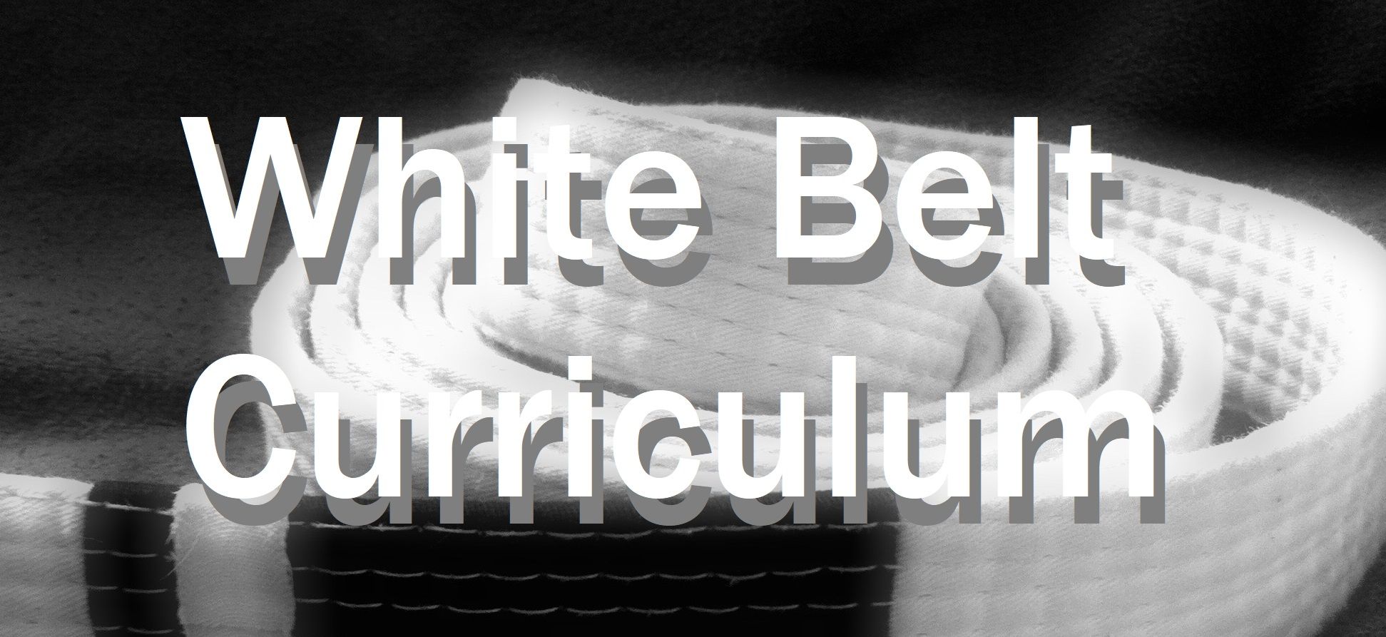 white-belt curriculum.jpg