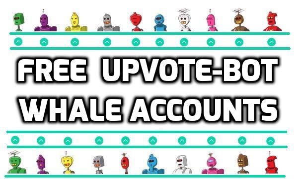 upvote whale accounts.jpg