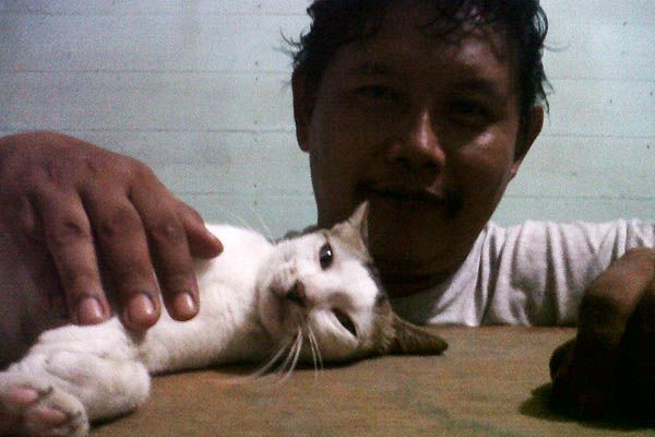 Keluarga Kucing Ku  My Cat Family u2014 Steemit