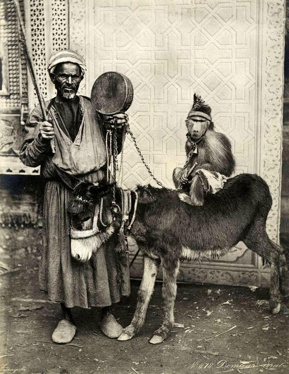 Cairo-man-w-monkey-and-donkey-Egypt-c.1914.jpg