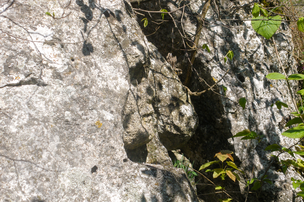 _DSC0006.jpg