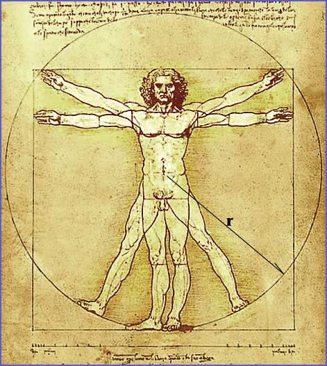 DaVinciVitruvian_man.jpg