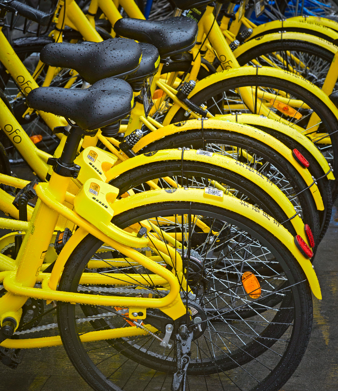 yellow bikes for hire in Shenzen China