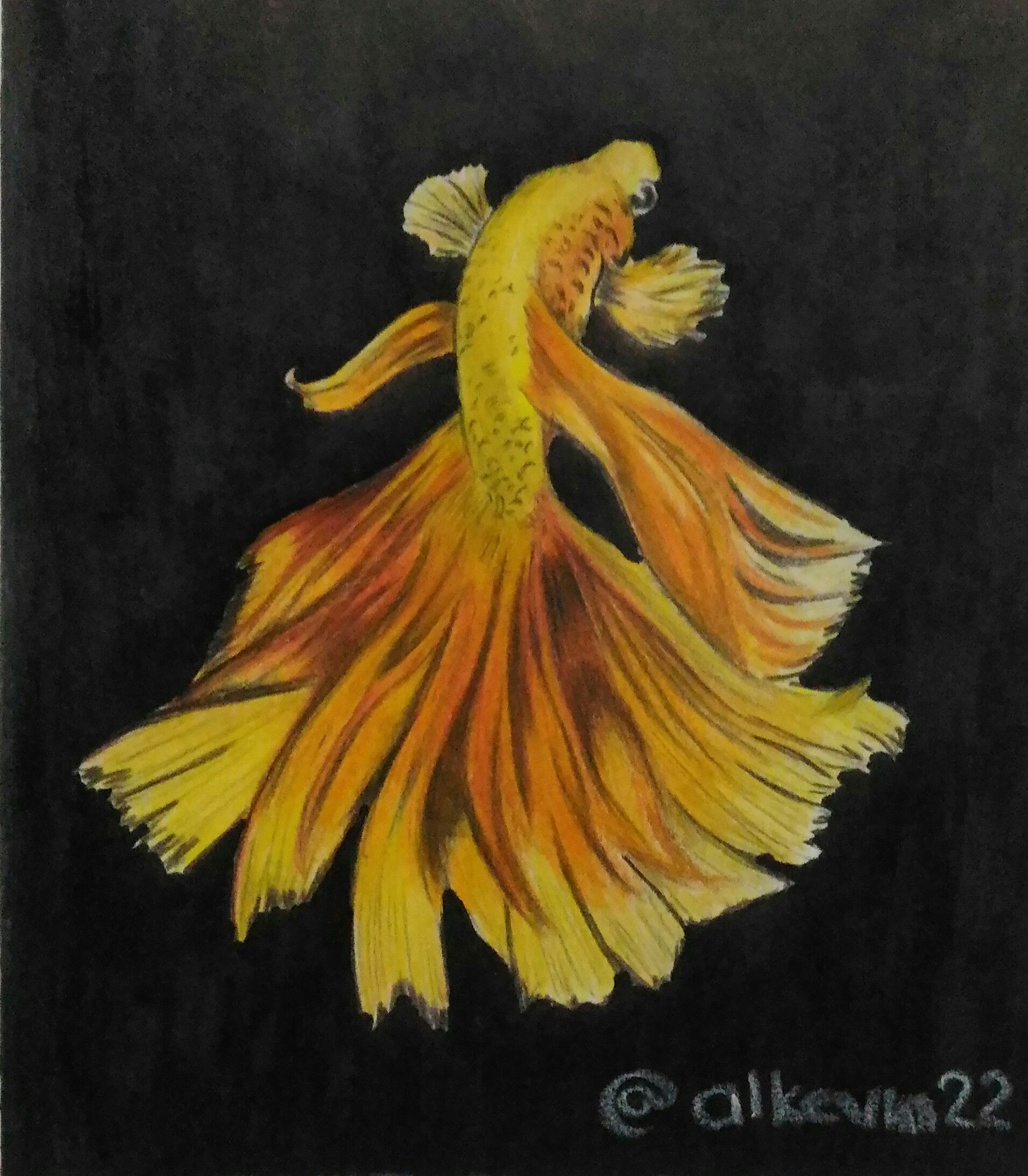 199 fishes of 2k11 / colour pencil painting by anil :: Behance