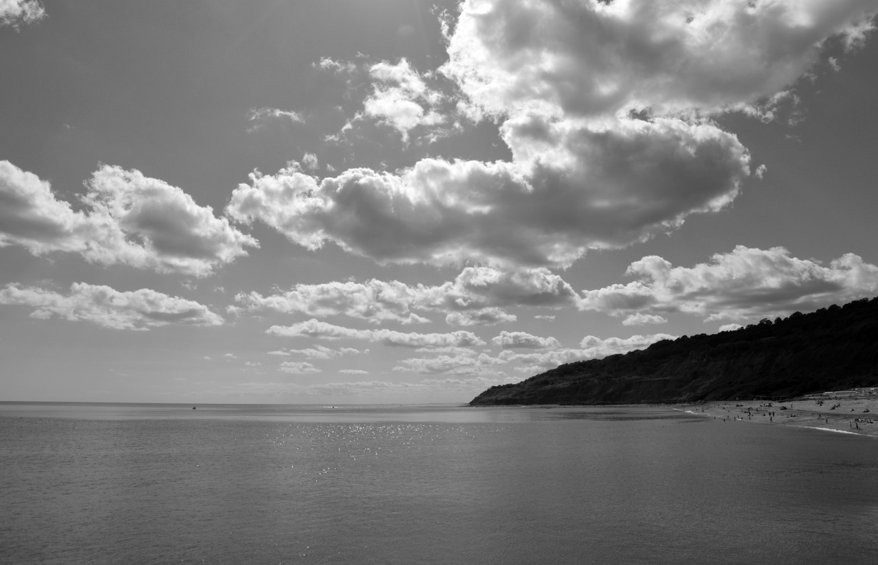 128101539576 - lyme regis fossil beach bw.jpg