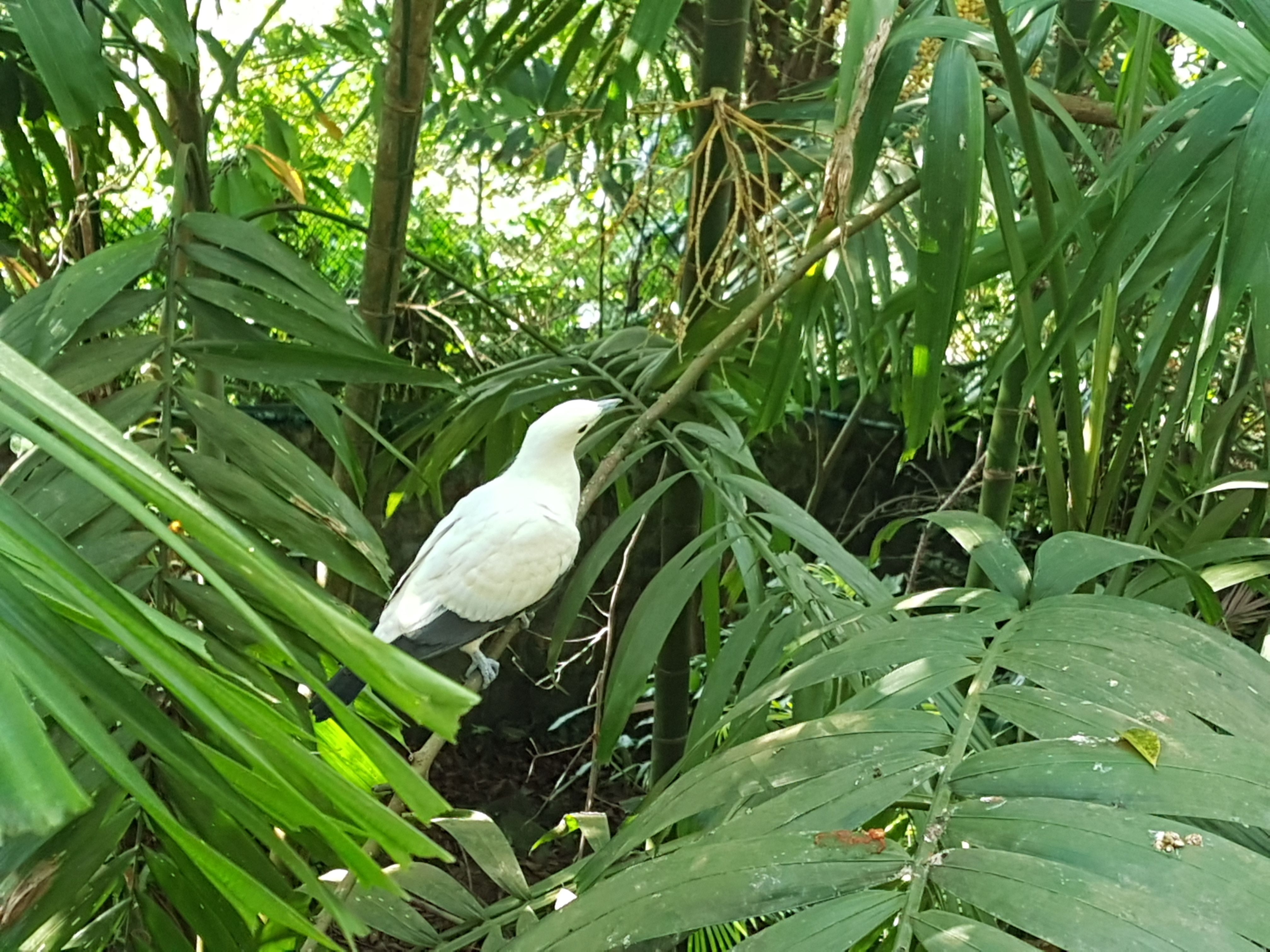 20180504_162210.jpg