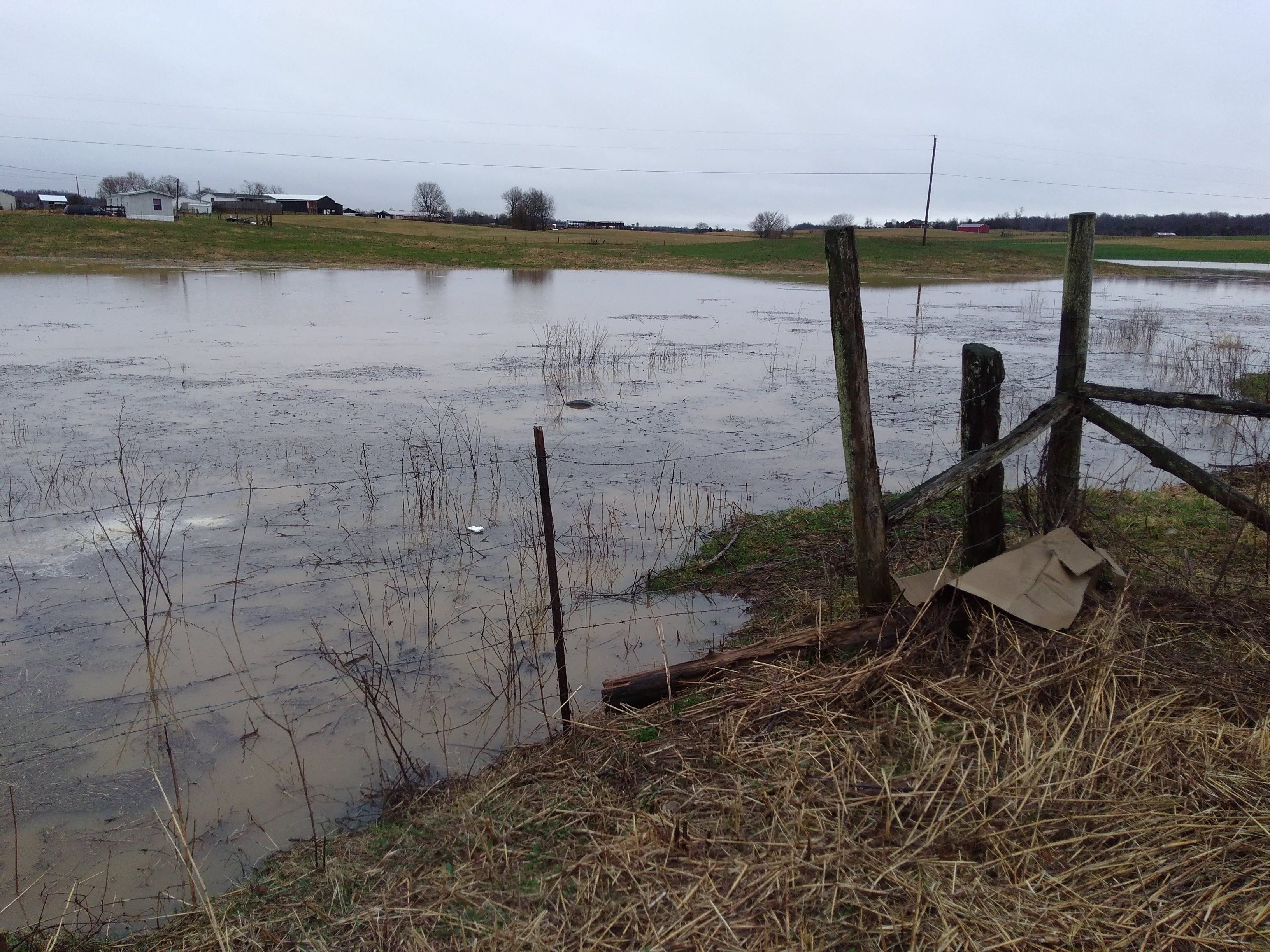 Pasture flood.jpg