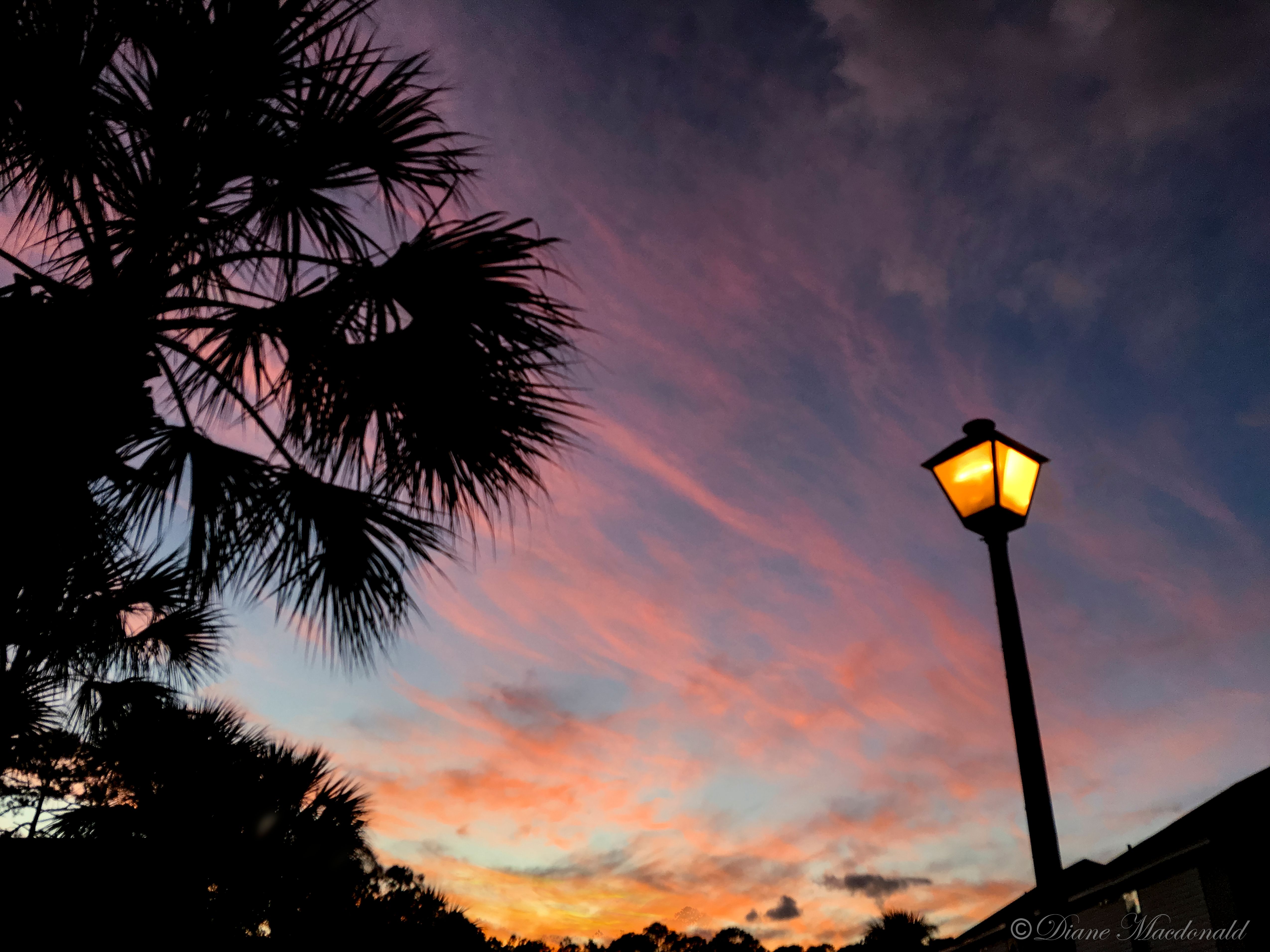 lamp post blue hour.jpg