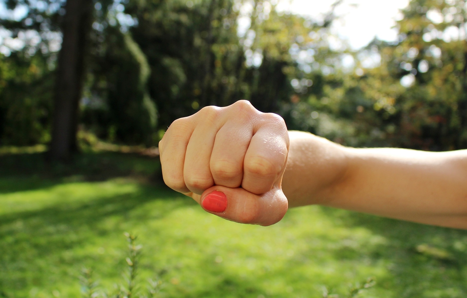 fist-bump-1195446_1920.jpg