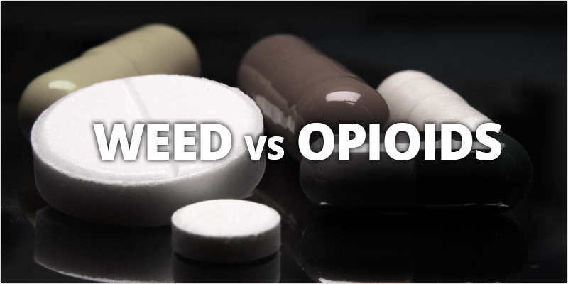 weed-vs-opioids-hero.jpg