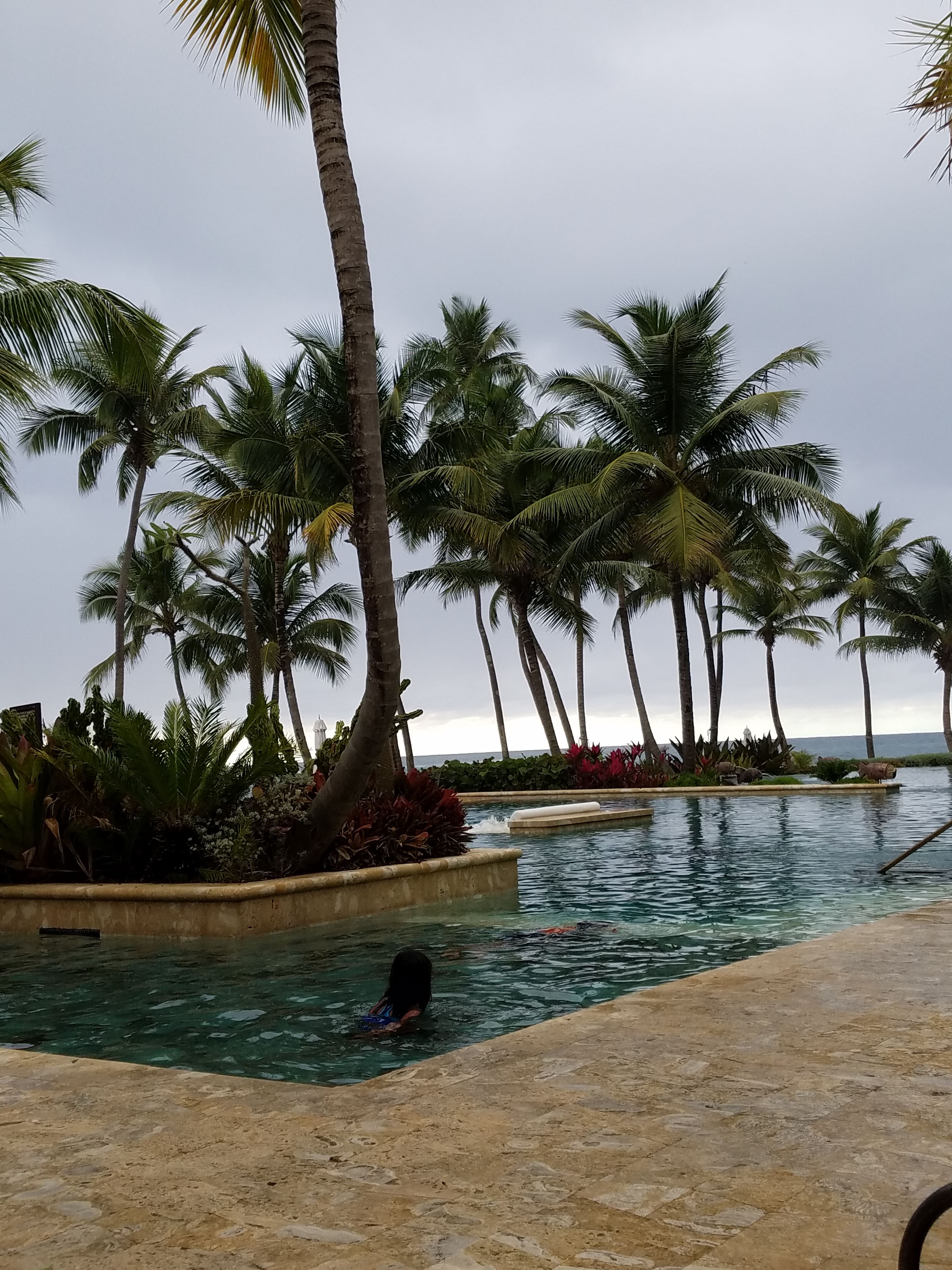 20170413_173445.jpg