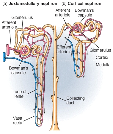 figure-14-18.jpg