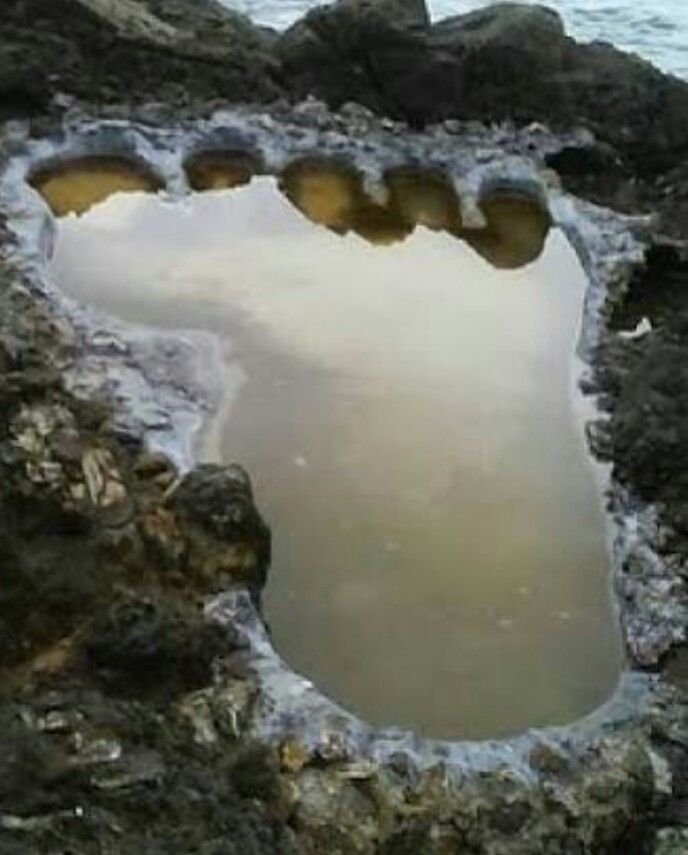 P2018-02-15-00-48-22_2.jpg