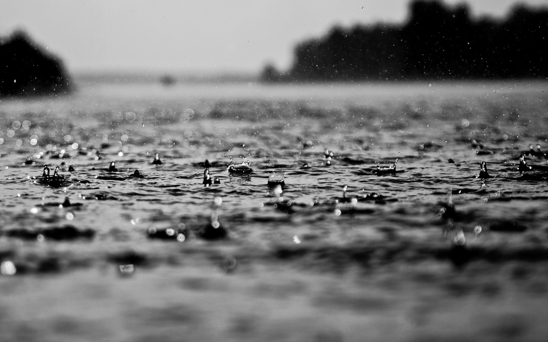 monochrome-macro-rain-splash.jpg