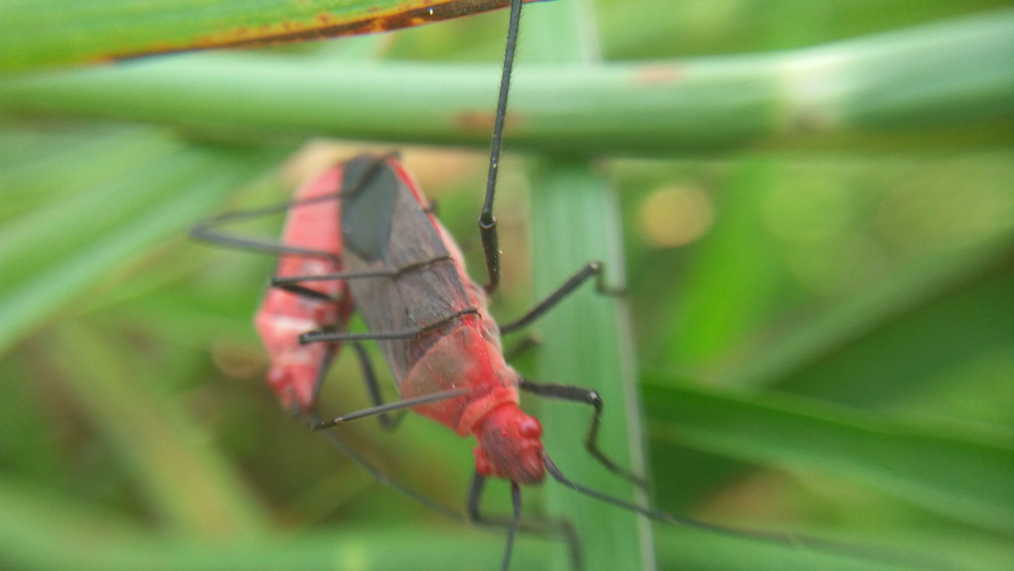 IMG20170726161558 (1).jpg