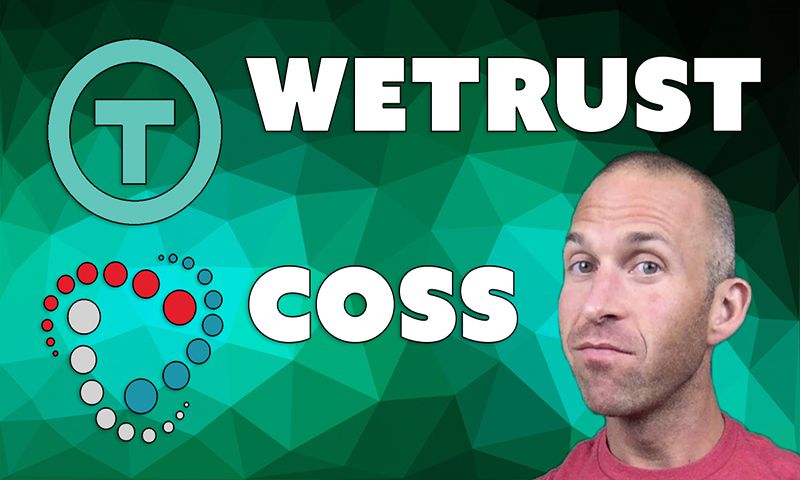 wetrust trst coss crypto currency reviews steemit.jpg