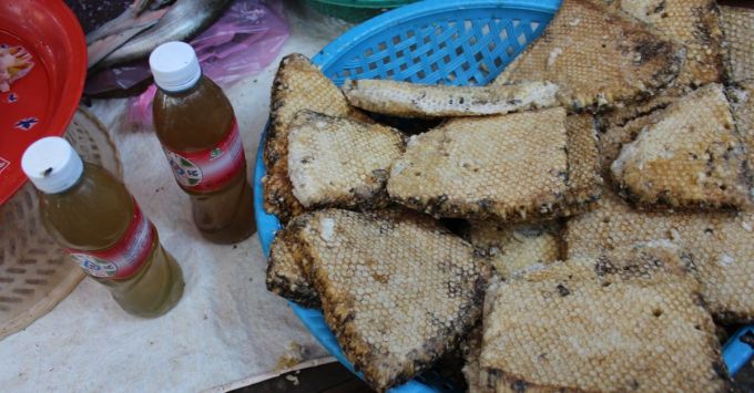 bb-siem-reap-bee-brood.jpg