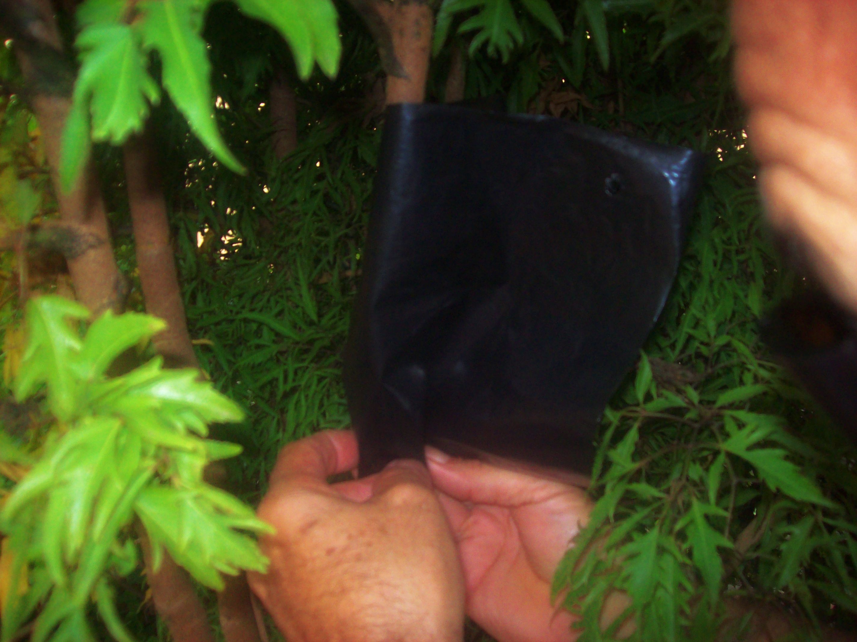 100_2061.JPG