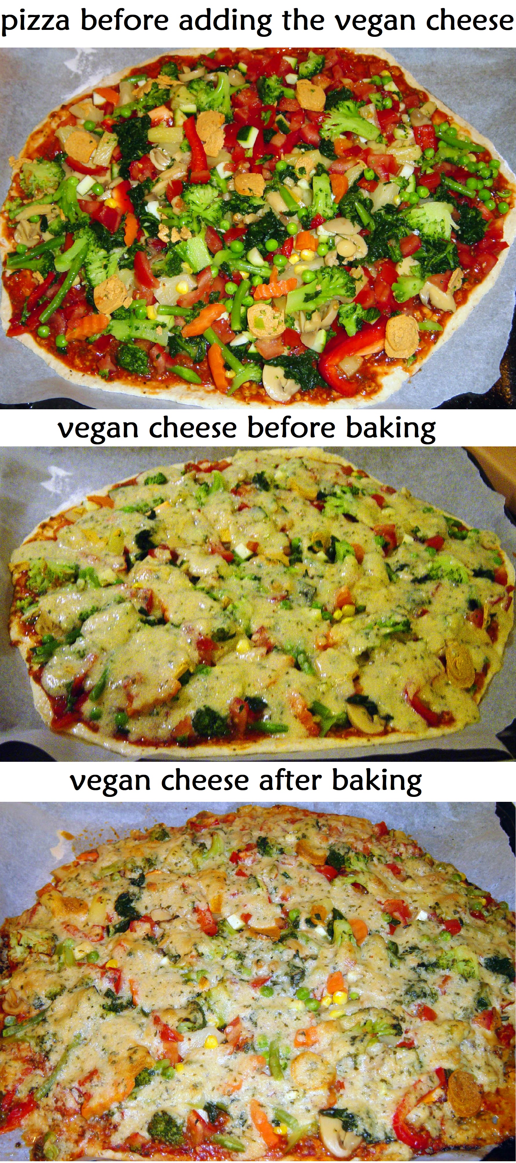 vegan_cheese.jpg