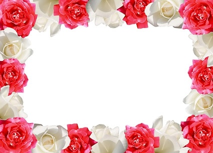 red_rose_white_rose_side_of_picture_166720.jpg