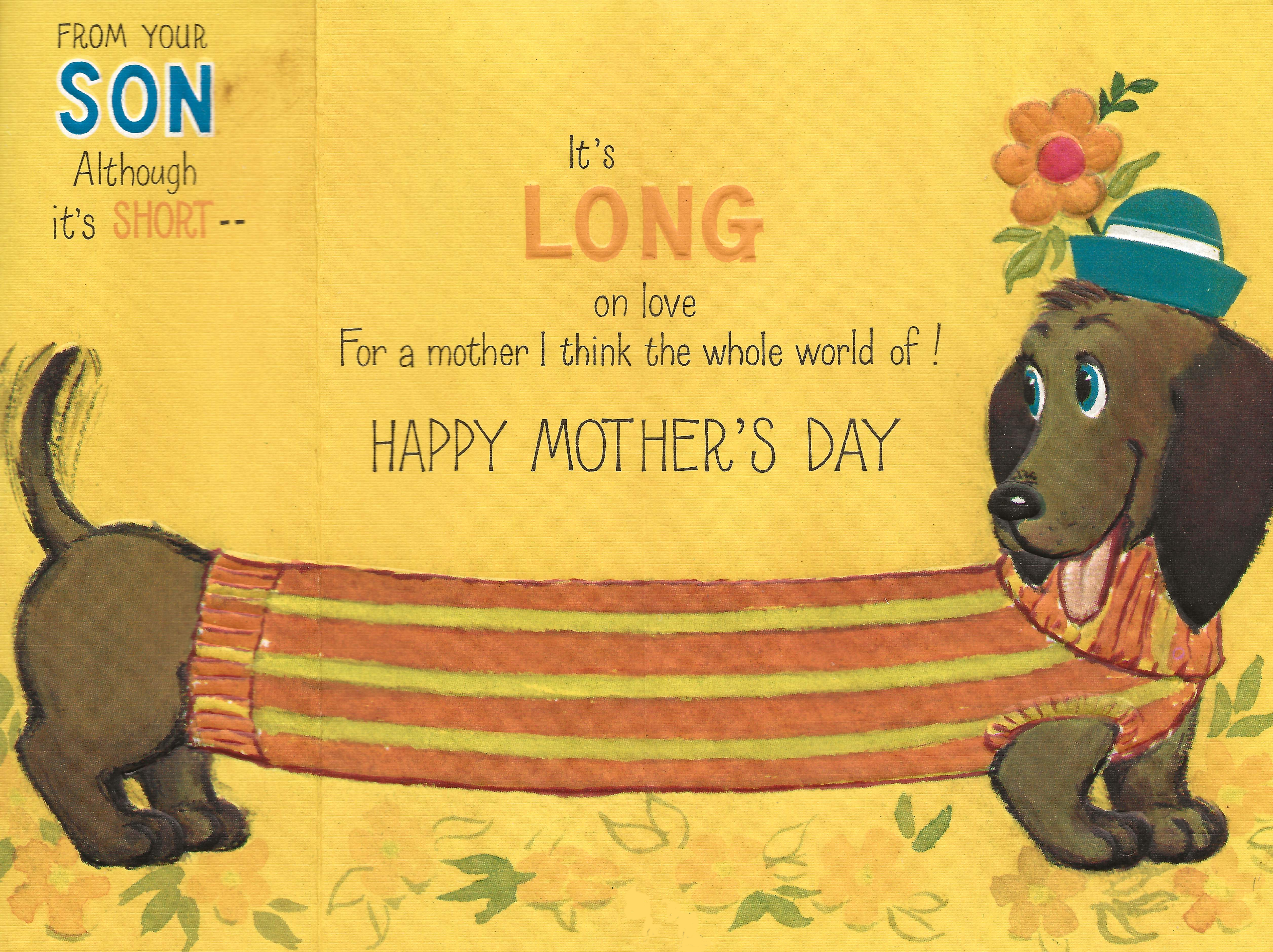 happy mothers day dachshund