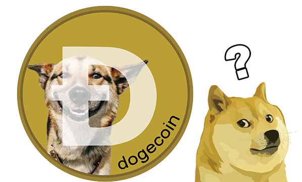 dogecoin-logo-coin.jpg