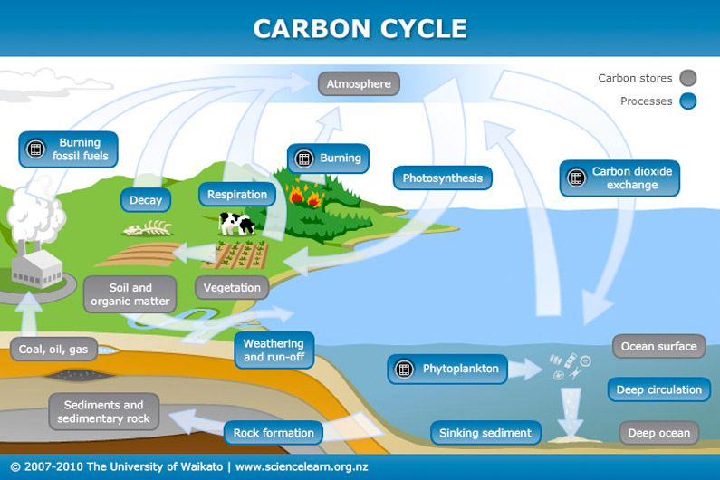 Carbon-cycle20160930-22732-cmhfg2.jpg