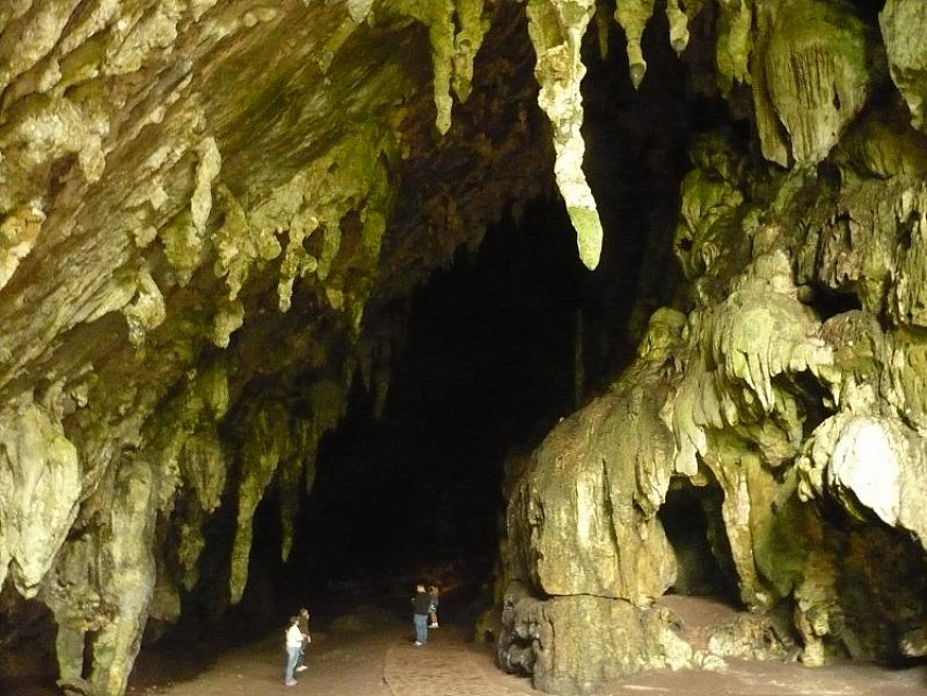 Resultado de imagen para cueva del guacharo