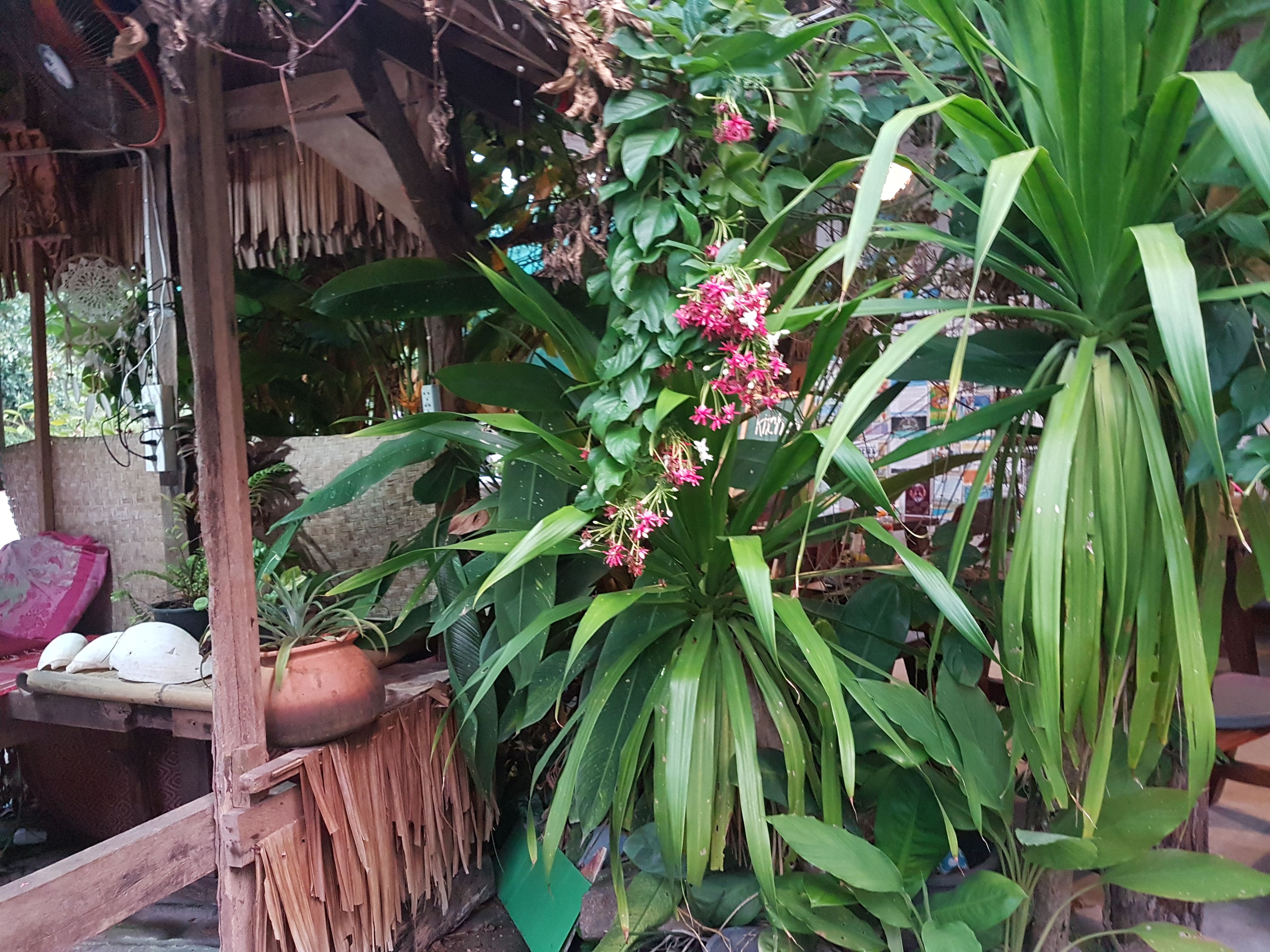 20180410_182711.jpg