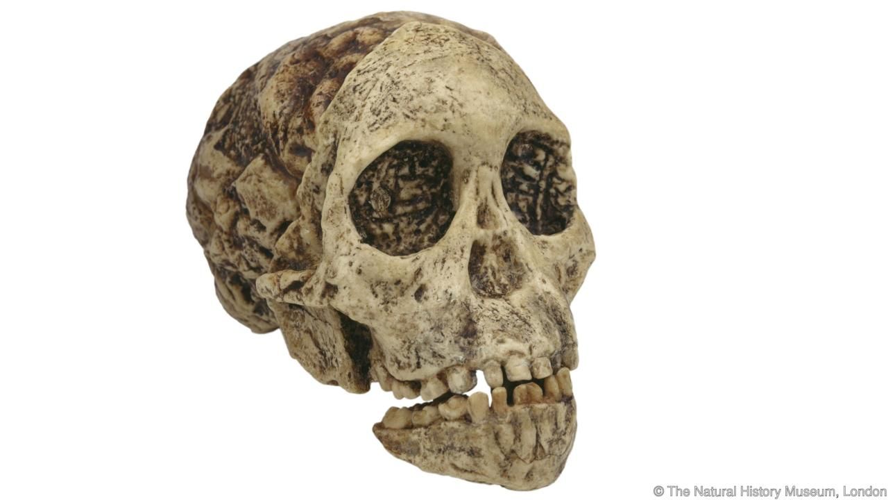 taung child.jpg