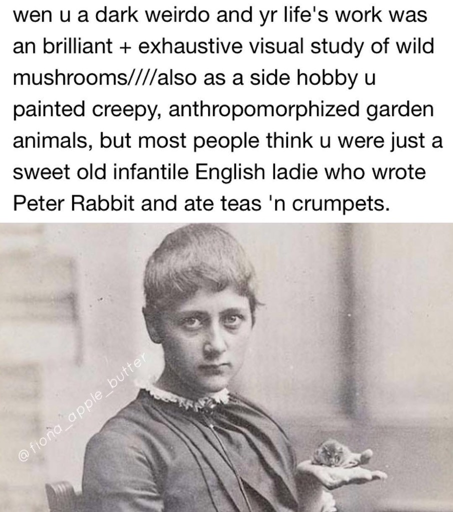 Beatrix Potter Meme Just In Time For Spring Steemit