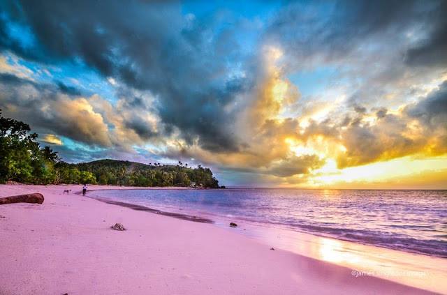 The Pink Beach Sta. Cruz Island in the Philippines Steemit