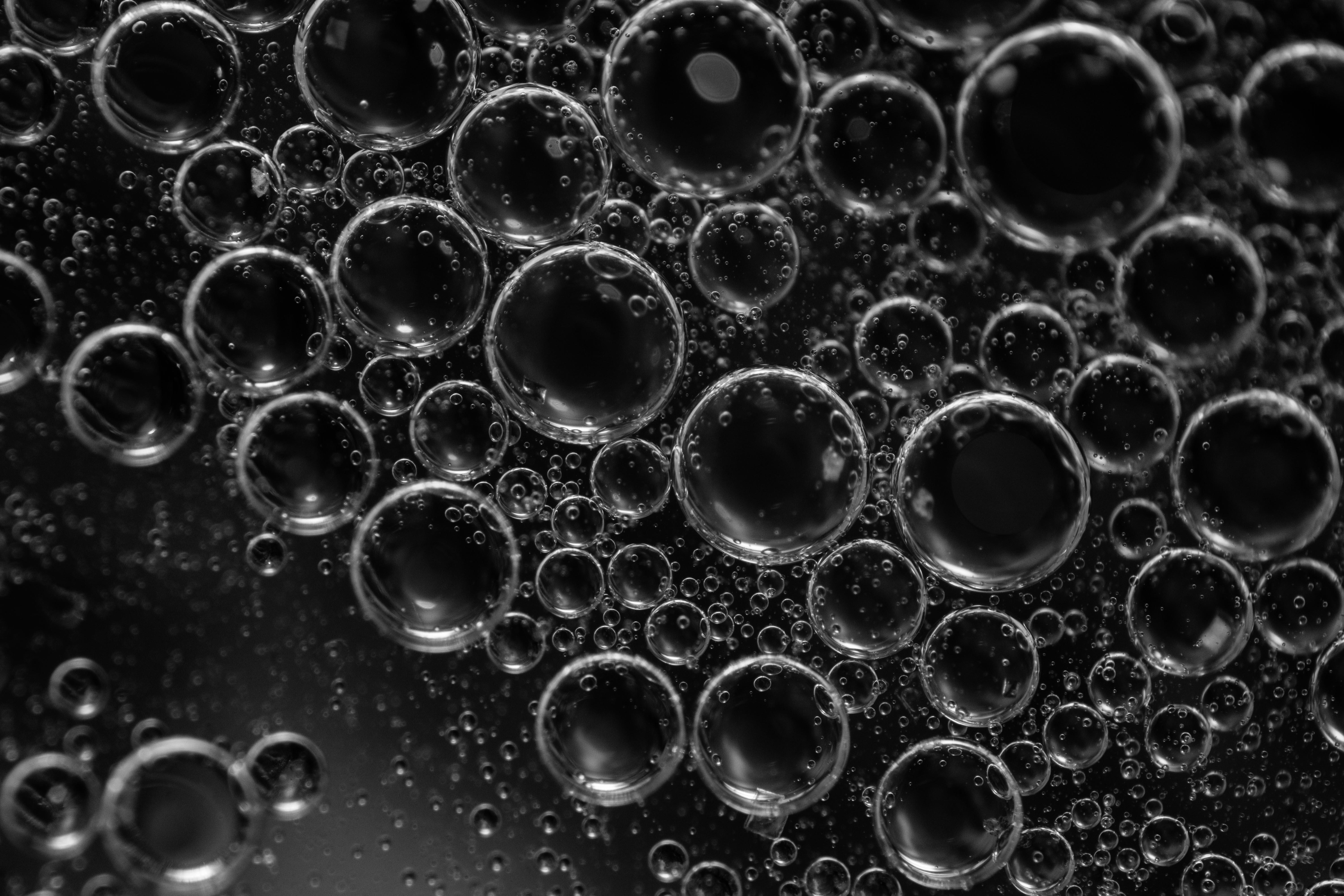 A6000-31-07-2017-abs-02945.jpg
