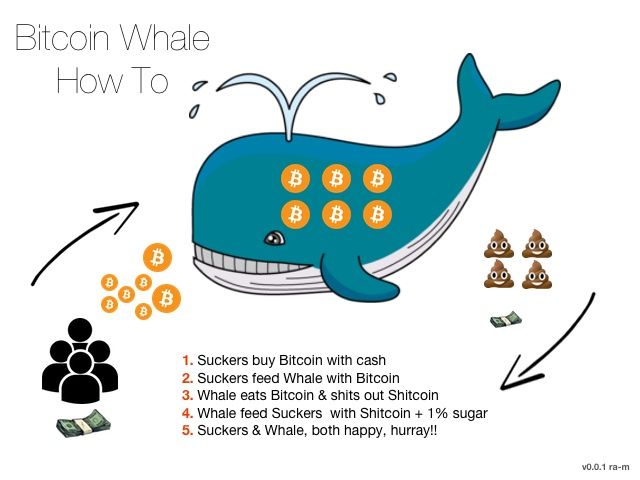 bitcoin-whale.jpg