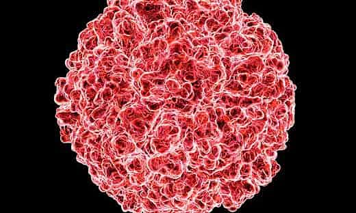 Un-nuevo-compuesto-químico-consigue-evitar-la-infección-por-gripe.jpg