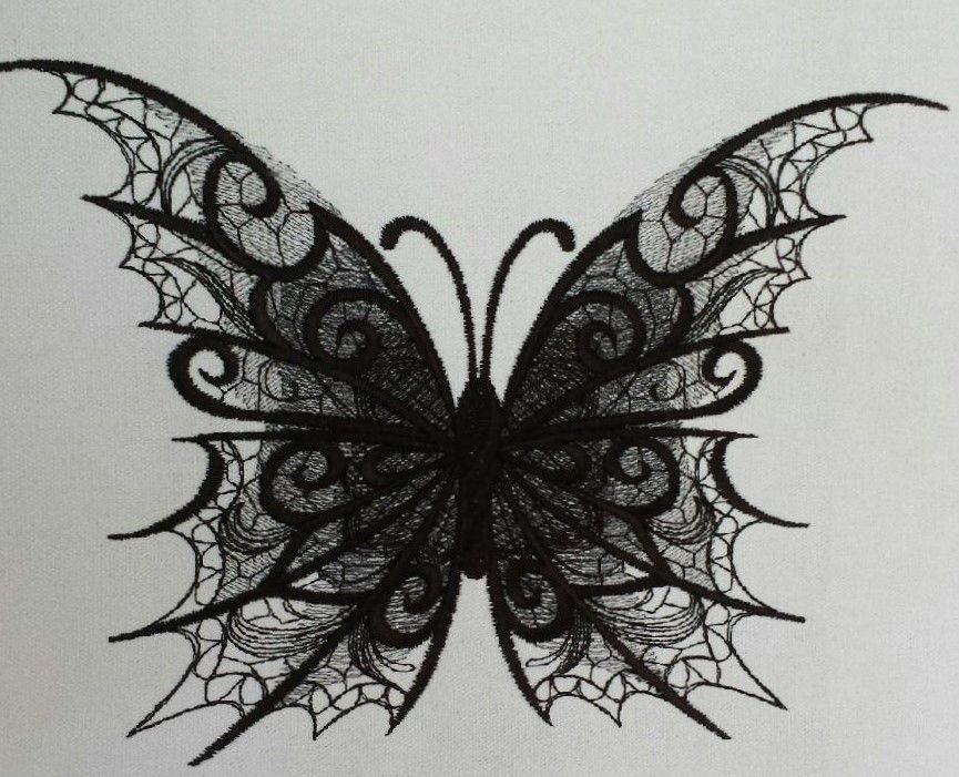 new butterfly.jpg